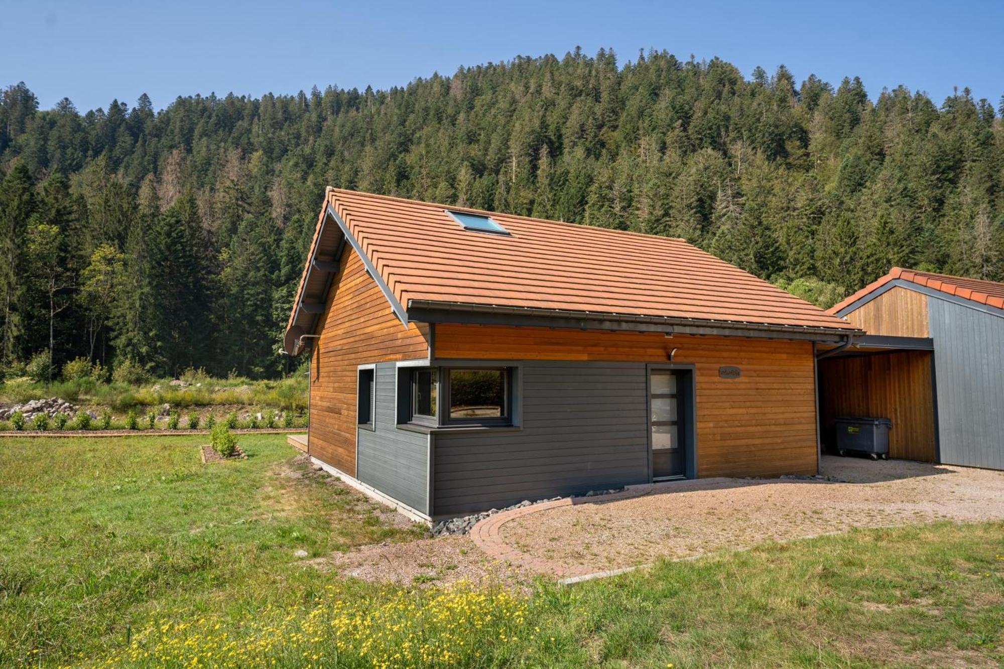 Chalet Nemesia Avec Spa A Gérardmer Eksteriør bilde